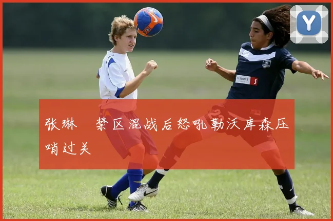 张琳芃禁区混战后怒吼勒沃库森压哨过关