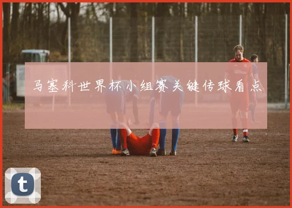 马塞科世界杯小组赛关键传球看点