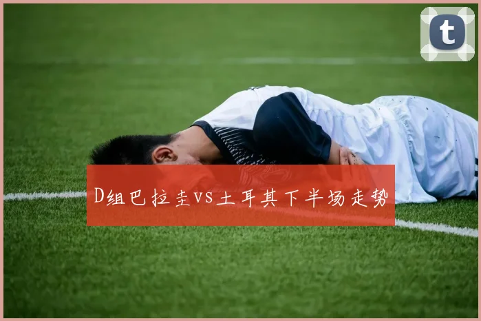 D组巴拉圭vs土耳其下半场走势