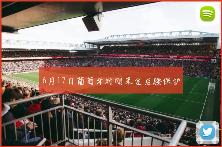 6月17日葡萄牙对刚果金后腰保护