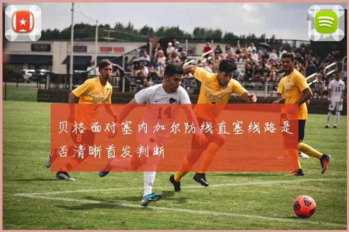 贝格面对塞内加尔防线直塞线路是否清晰首发判断