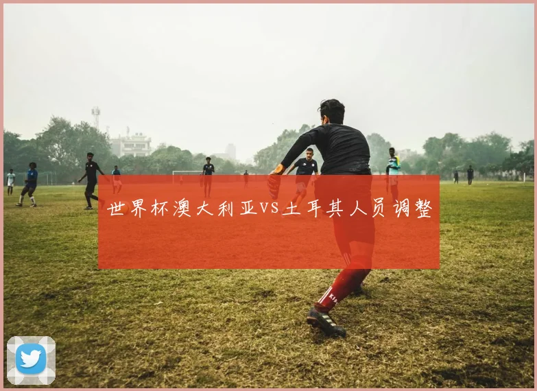 世界杯澳大利亚vs土耳其人员调整
