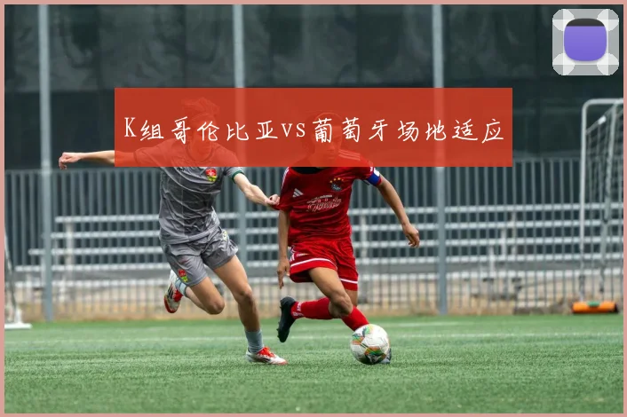K组哥伦比亚vs葡萄牙场地适应